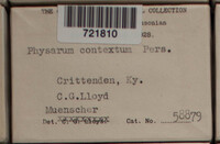 Physarum contextum image